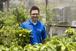 researcher with coffee plants