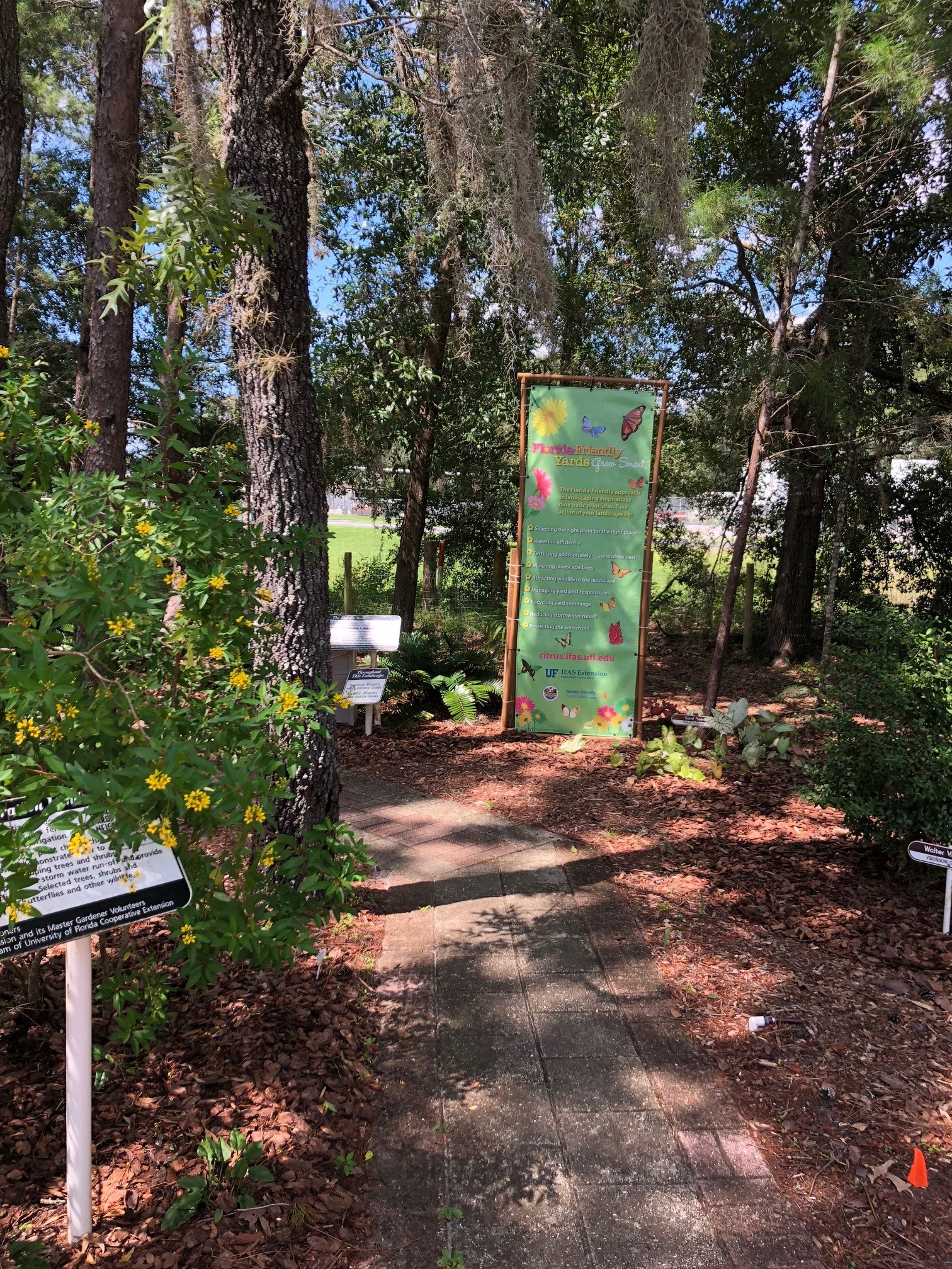 Want To Enjoy Some Outdoor Fun This Holiday Season Visit A Ufifas Demonstration Garden News 