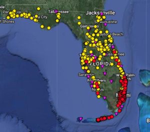 image - UF IFAS interactive termite risk map