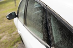 Pollen on car