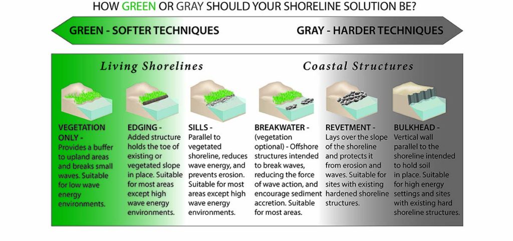 Living Shoreline types