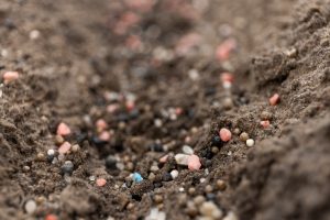 fertilizante granular de colores en suelo. 