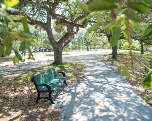 A green park bench shaded by surrounding trees