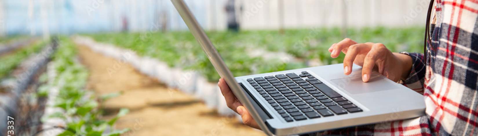 A close up of someone at a computer in a greenhouse.