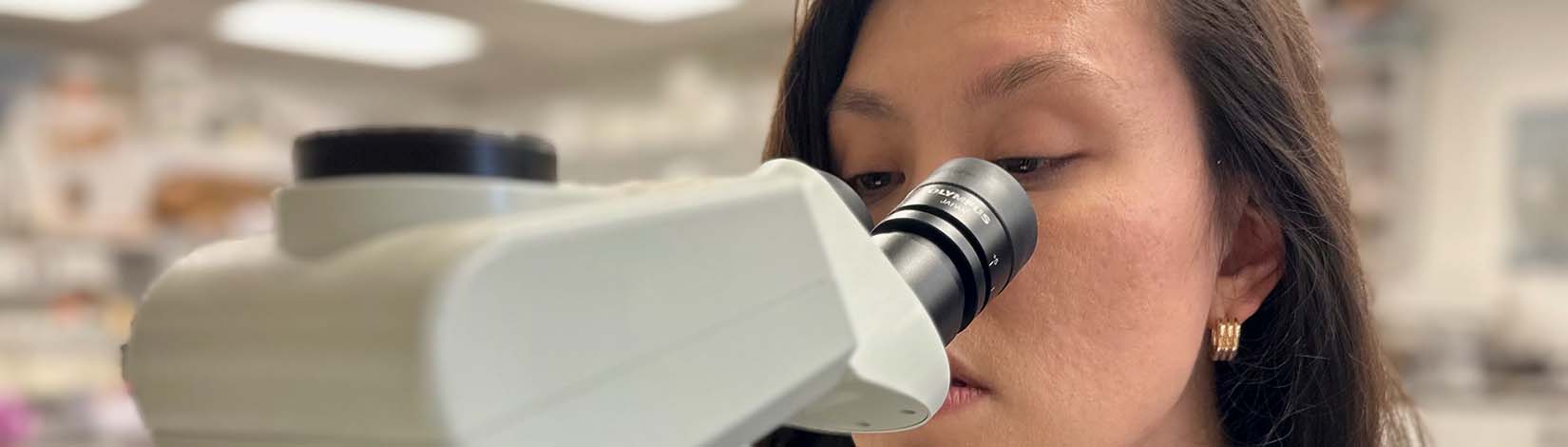 Gordon_at micoscope analyzing termite specimens banner.
