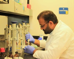 Dr. Jugpreet Singh at a papaya research plot at UF/IFAS Tropical Research and Education Center. Yomi Reyes | UF/IFAS Tropical Research and Education Center