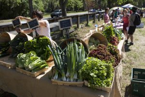 Outdoor farmer market with a variety of vegetables in baskets