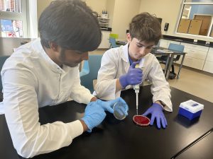 Two male students wearing lab coats and blue gloves working at a lab table with a petri dish, pipette and a box of pipette tips.