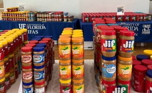 Towers of multicolored peanut butter jars, with two tables in the background covered with tablecloths that say ‘University of Florida IFAS,’ and more peanut butter jars on the tables.