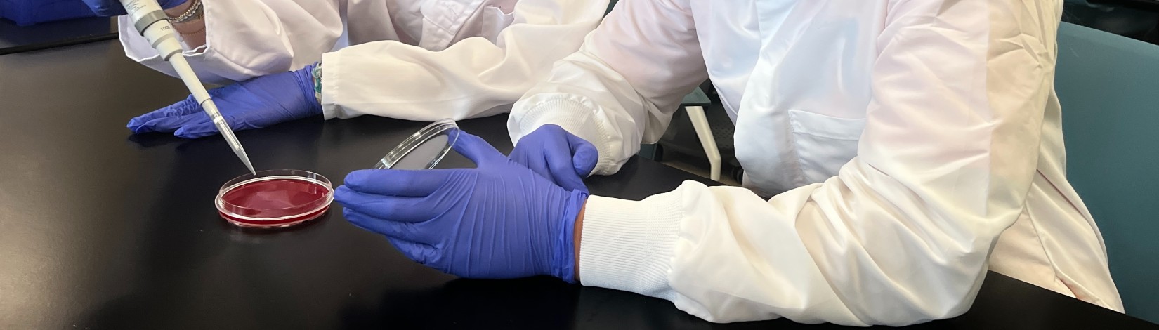Students in a high school classroom. Photo: UF/P.K. Yonge