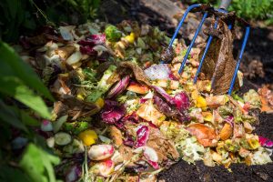 A pitchfork mixing food and garden compost. UF/IFAS photo