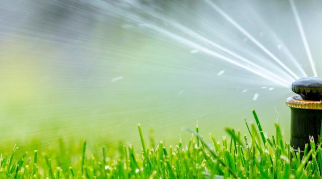 A medida que los días se acortan, su jardín naturalmente necesita menos agua