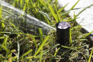 A lawn sprinkler spraying water across green grass and close to a pathway made of cement.