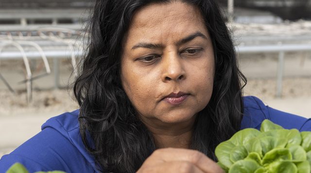 Environmental Horticulture faculty Uttara Samarekoon at the Mid-Florida Research and Education Center (MREC).