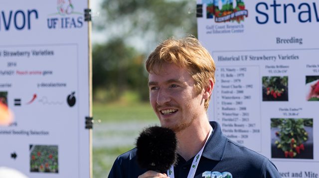 From 5,000 strawberries to DNA breakthrough: Doctoral grad sweetens the future of fruit