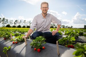 A scientist kneels in a strawberry field.