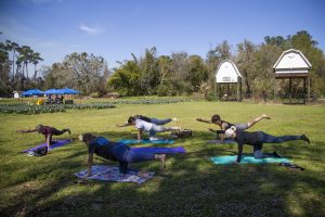 A small group of adults practice yoga outdoors on colorful mats, balancing on hands and knees with one arm and the opposite leg extended, in a grassy field bordered by trees under a clear blue sky.