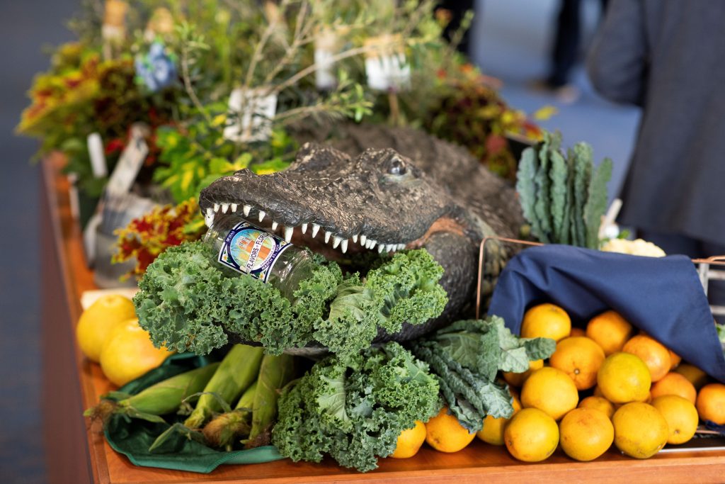 A fake alligator with a cup in its mouth. The cup reads "Flavors of Florida."