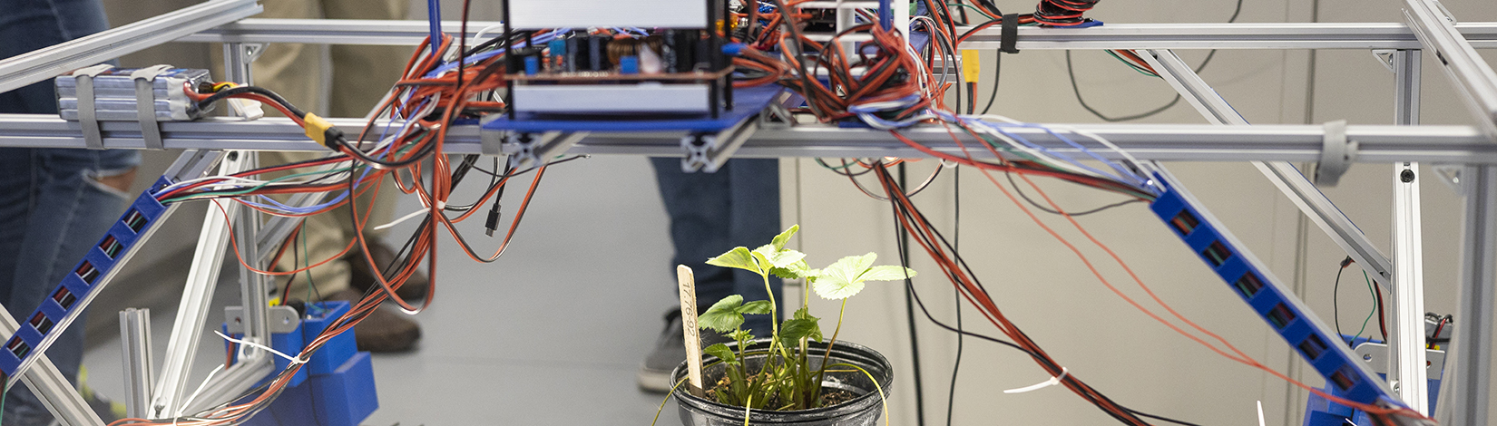 UF/IFAS awards $321K in AI grants to advance ag-tech industry