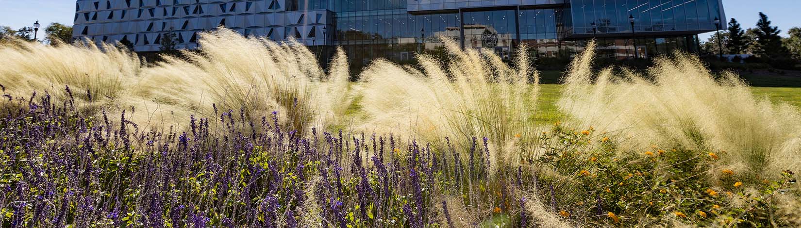 Starting Jan. 27: Learn how climate-smart living works in Florida with statewide lunch-and-learn series