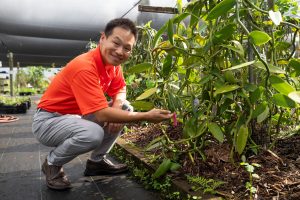 A plant breeder and associate professor of horticultural sciences at the Tropical Research and Education Center. Courtesy, UF/IFAS.