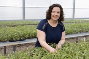 A tomato breeder. Courtesy, UF/IFAS.
