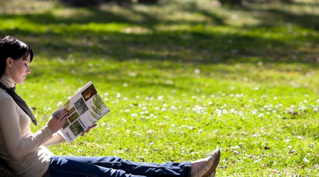Feeling stressed? Help yourself by stepping into the shade of trees