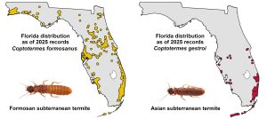 A look at the distribution both invasives.