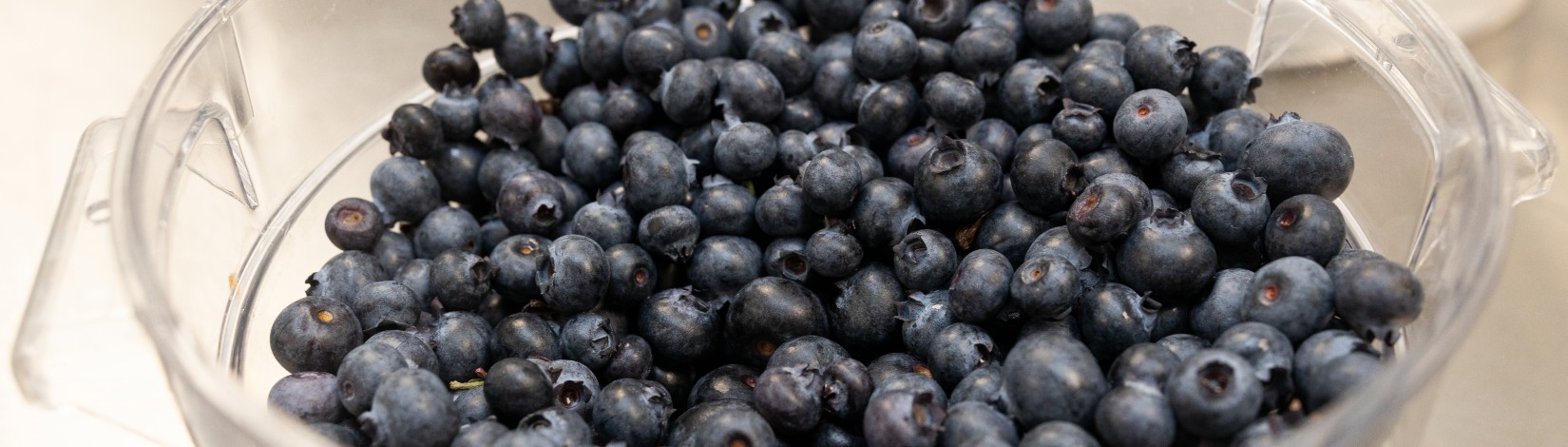Cup of blueberries.