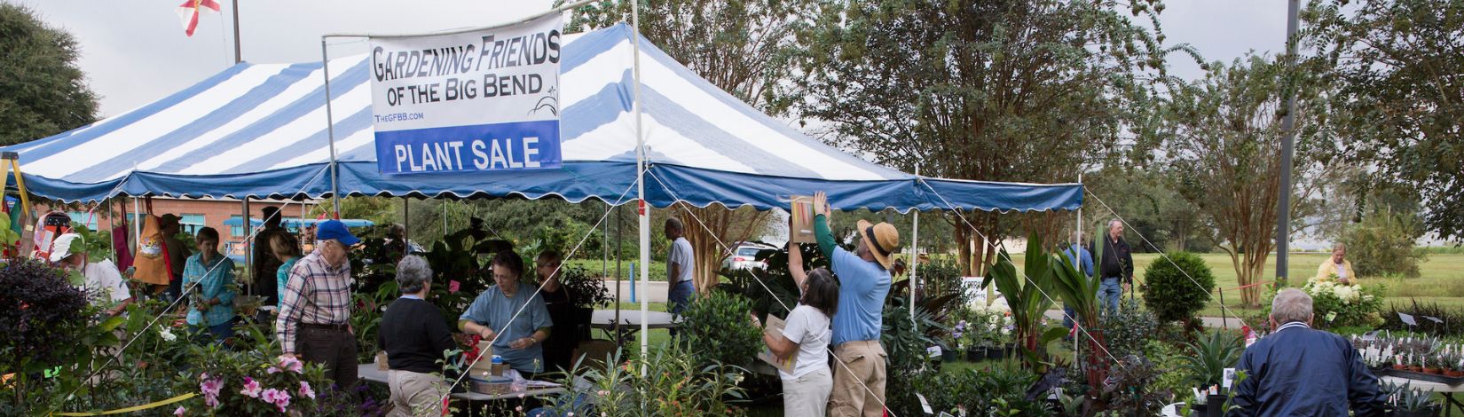 Plants on display for sale at the Gardening Friends of the Big Bend plant sale.
