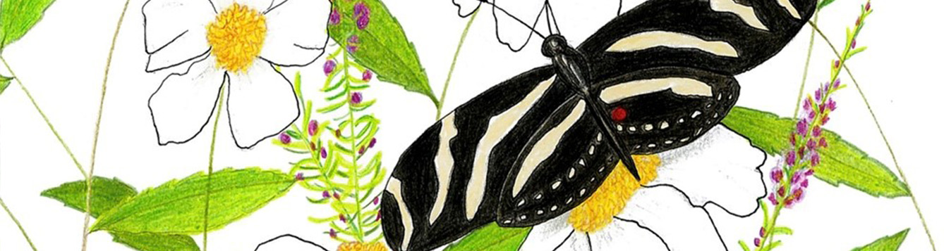 Illustration from Zoe's Mission