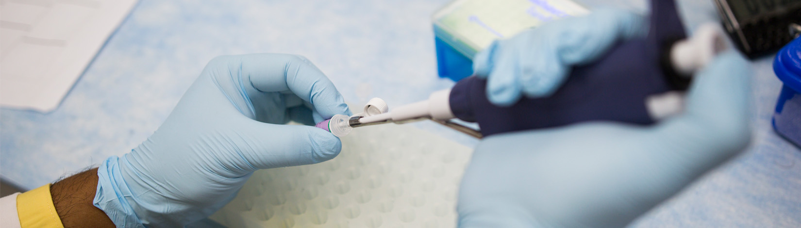 hands holding pipet and test tube