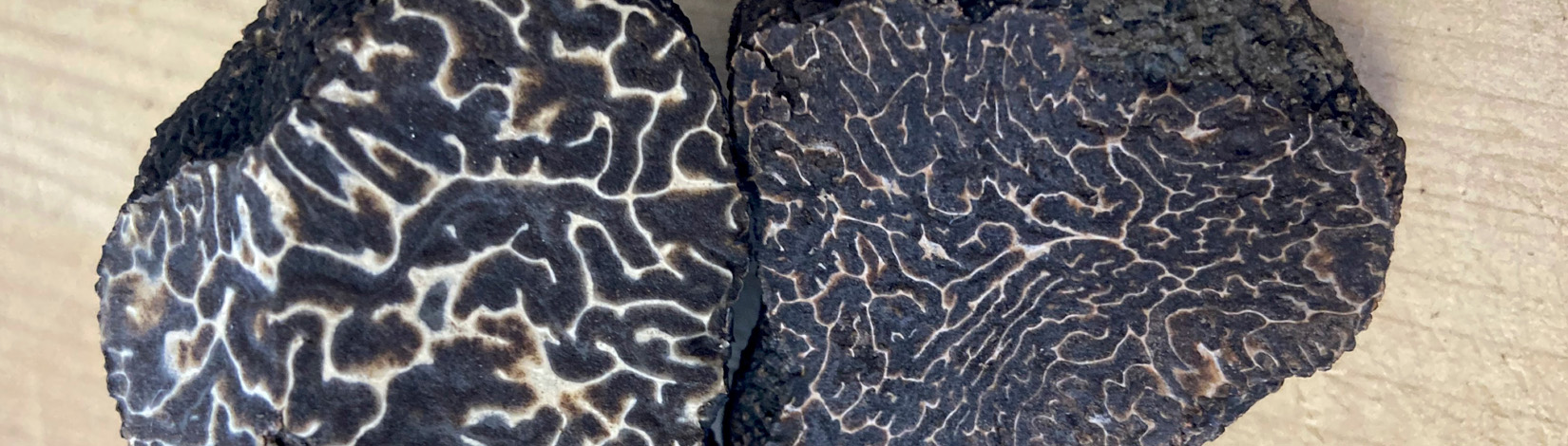 Two similar looking black truffles side by side