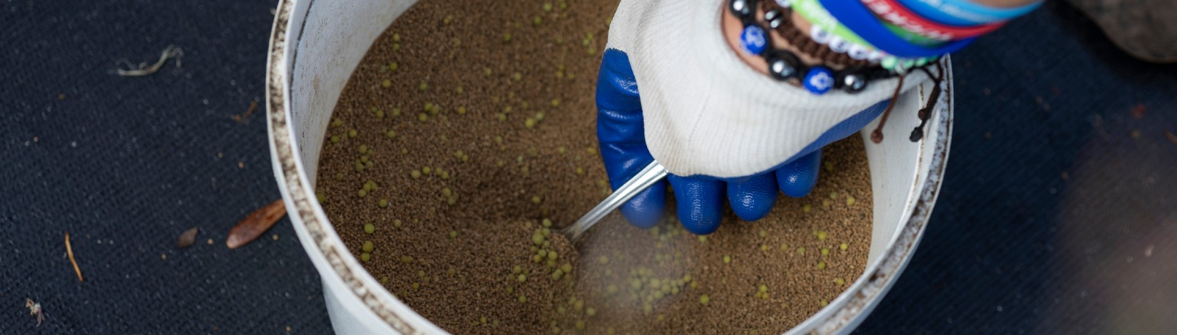 fertilizer