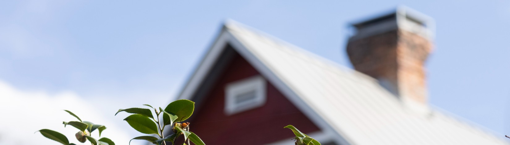 A house in the distance. Photo: UF/IFAS