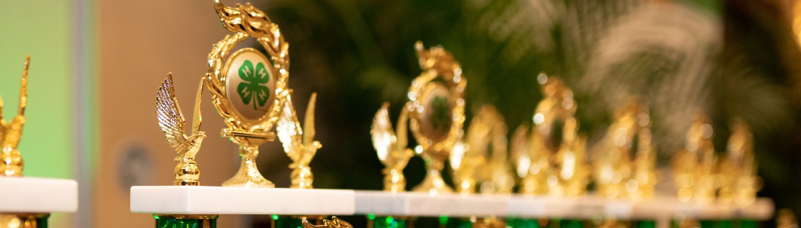 4H trophies and awards. Photo taken 07-31-19. Photo: UF/IFAS