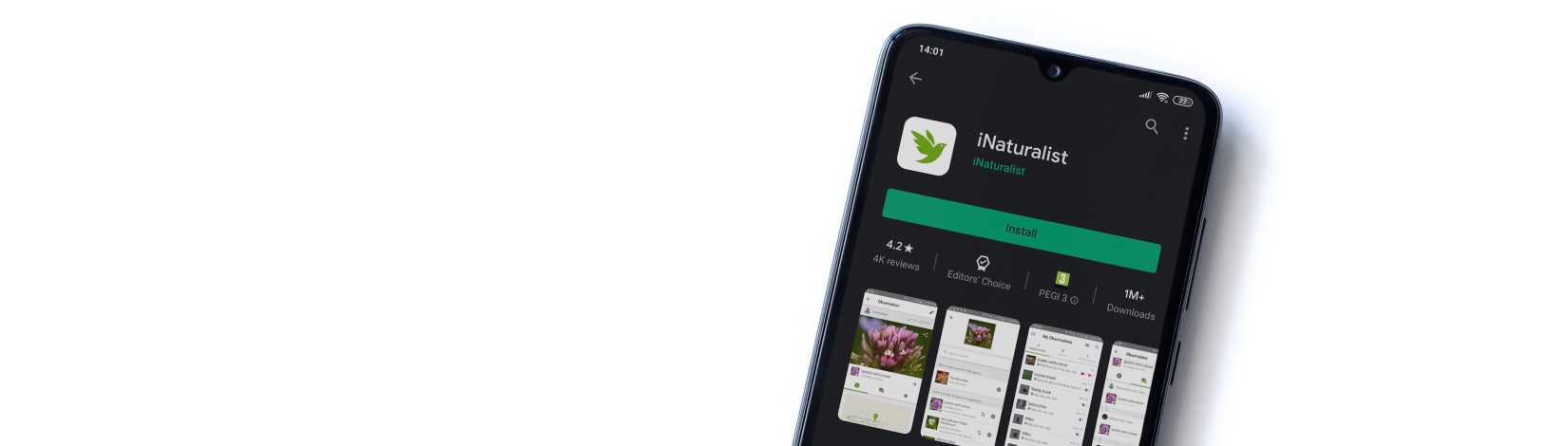 A cellphone displaying the iNaturalist app open, on a white background.
