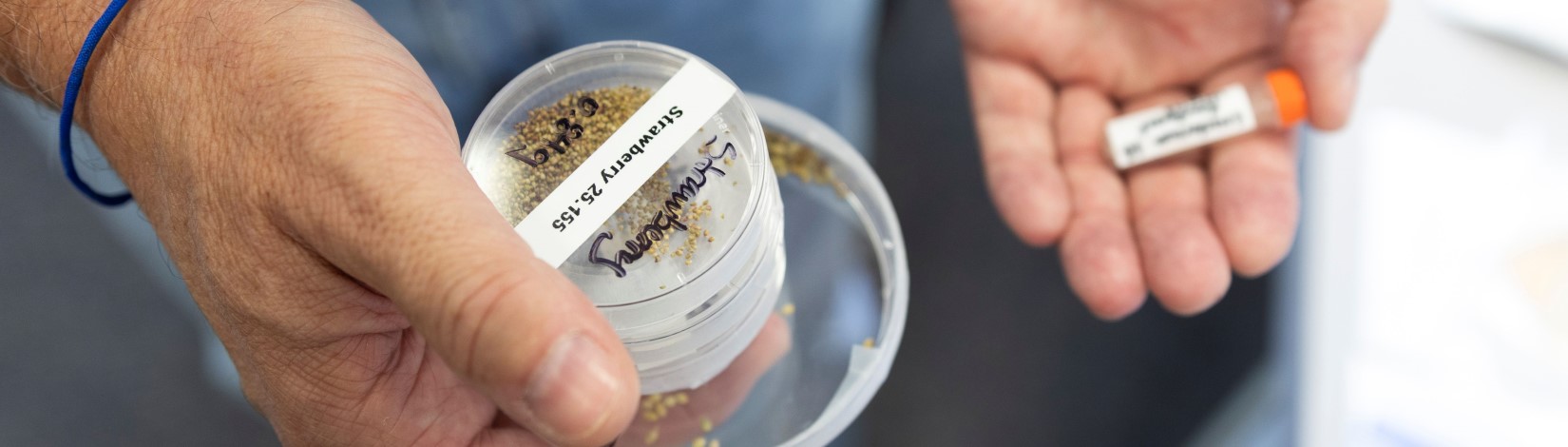 Hands holding seeds in a Petri dish and a test tube