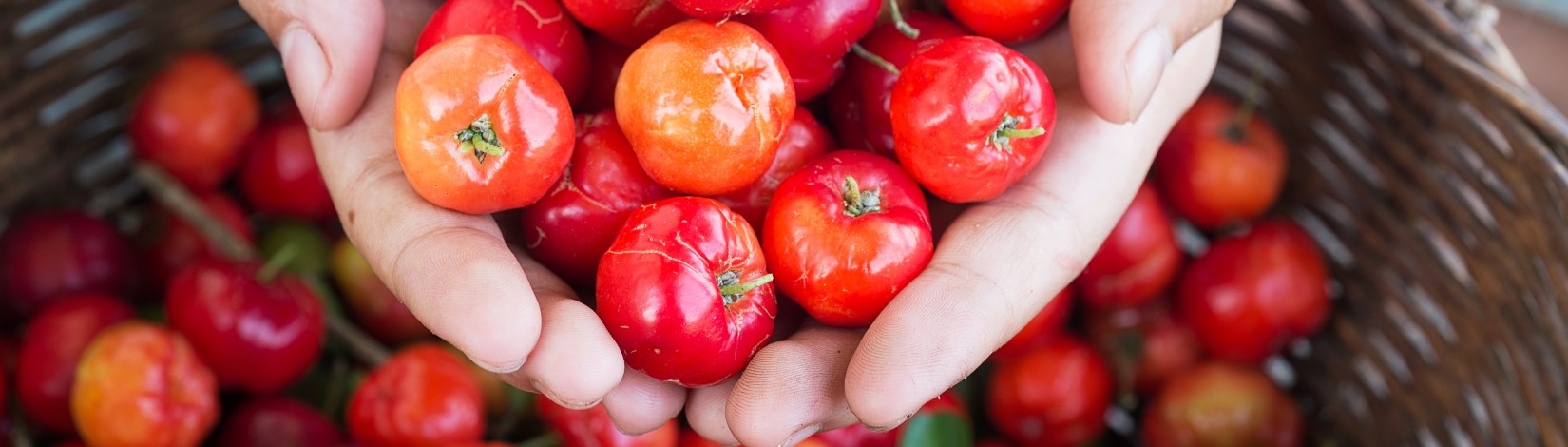 ed berries being scooped by hands, additional berries in a background basket
