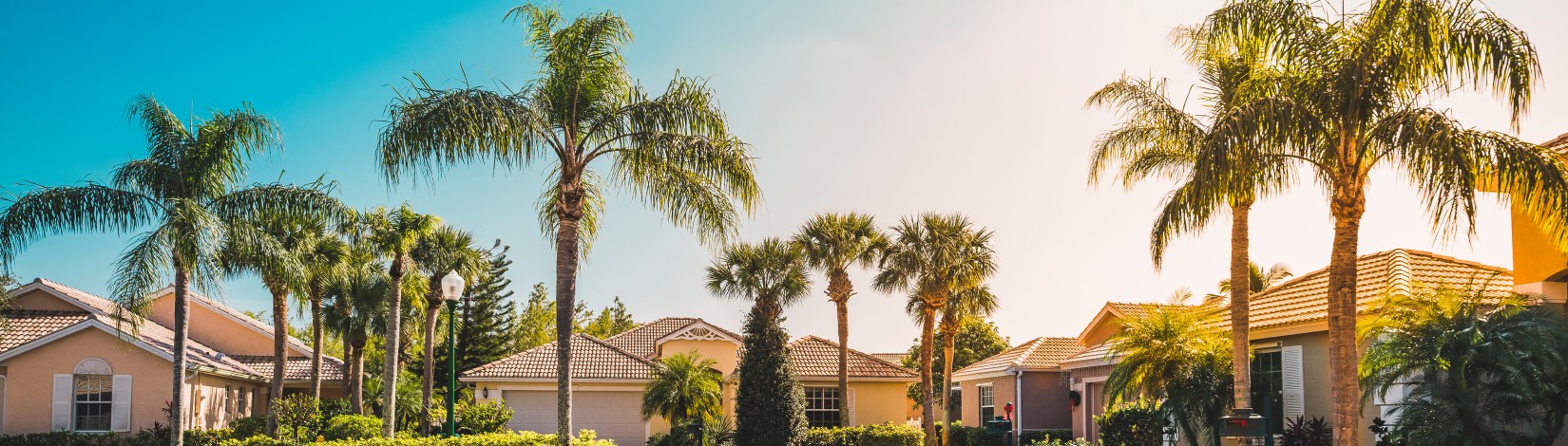 House rooftops and palm trees in Florida illuminated by soft light.