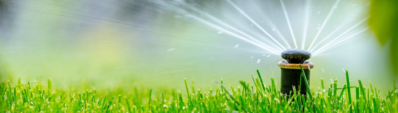 A lawn sprinkler spraying arcs of water across green grass