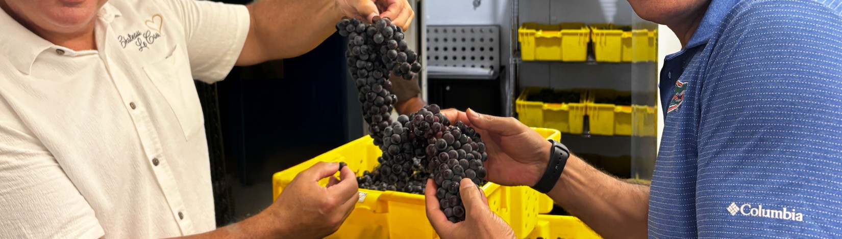 Left to right: Château Le Coeur owner John Choquer with UF/IFAS associate professor Ali Sarkhosh. Photo: UF/IFAS, Eva Sailly