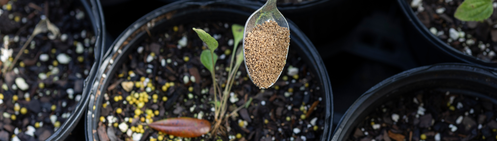 Spoonful of plant fertilizer over container pots of plants and soil