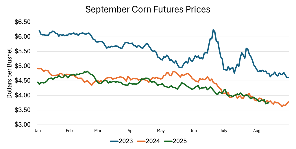 Sep corn futures price trends