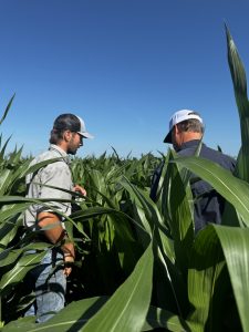 Cody Darling and Bob Hochmuth discussing the crop.
