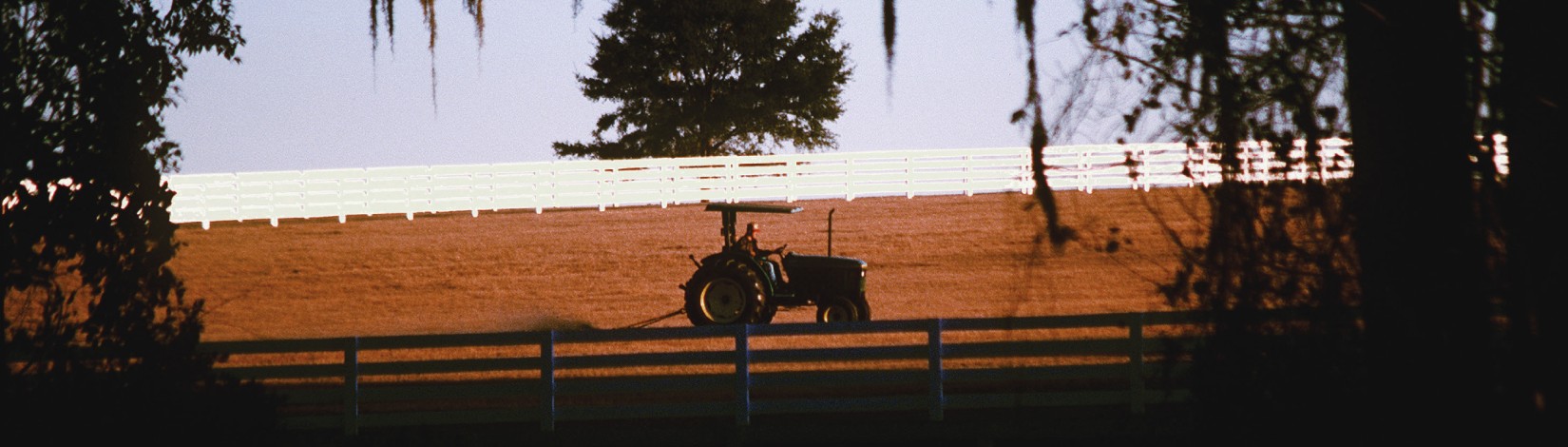 Quincey Farms II: A Sweet New Cover Crop