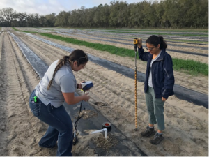 Two people installing a soil moisture sensor in a farm field.