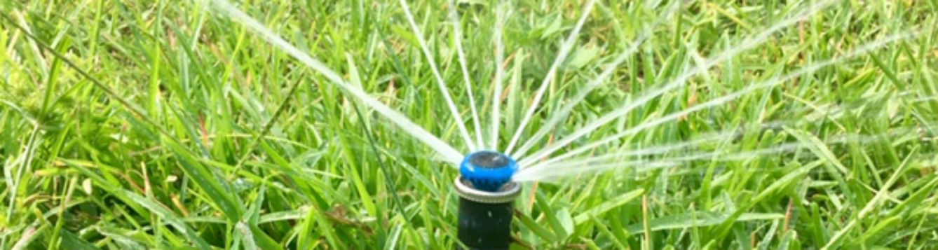 Irrigation spray head running in lawn