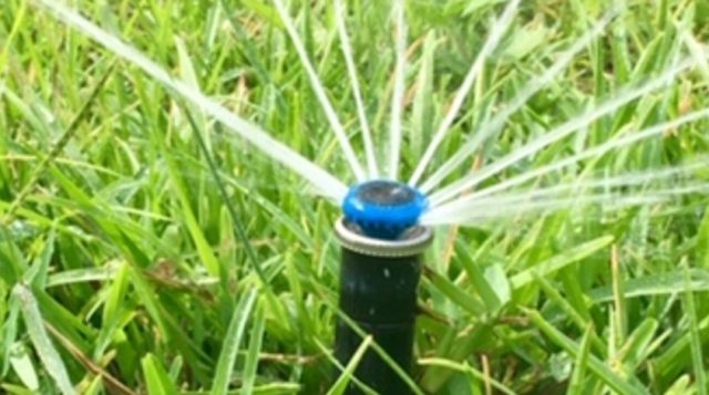 Lawn irrigation spray head running