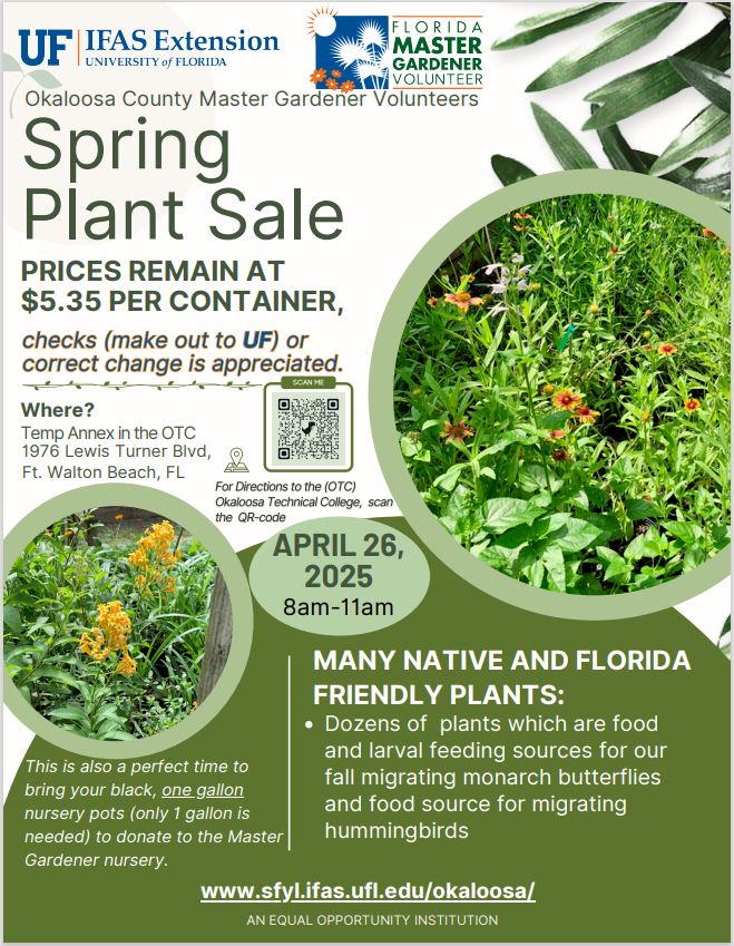 2025 Master Gardener Volunteer plant sale flyer